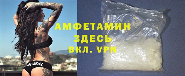 мдпв Богданович