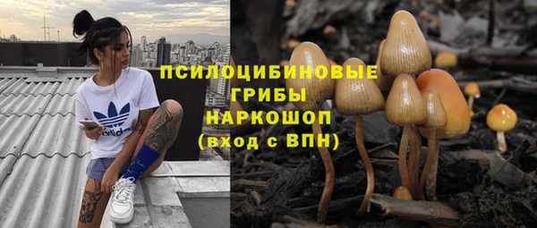 мдпв Богданович