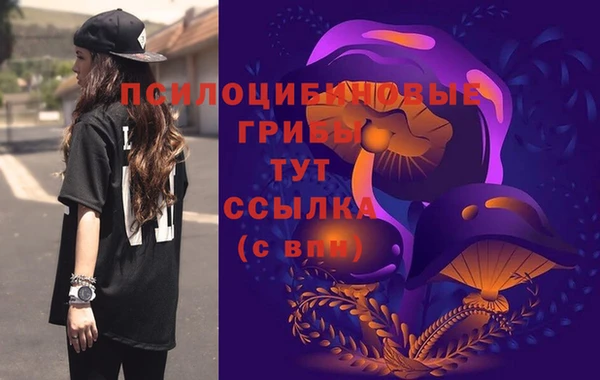 мдпв Богданович